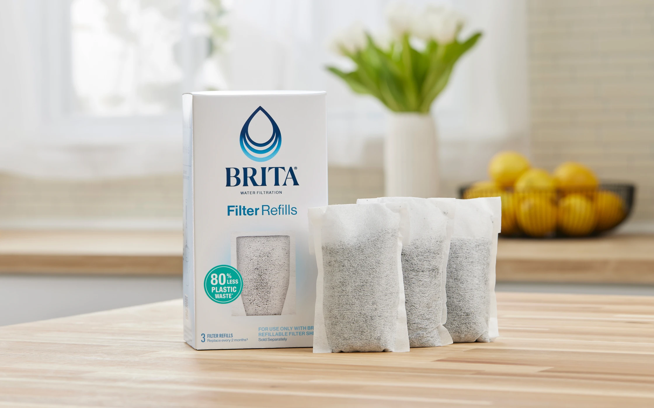 Refillable Water Filtration System Filter Refills, 3 Count